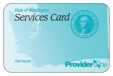 ProviderOne services card sample